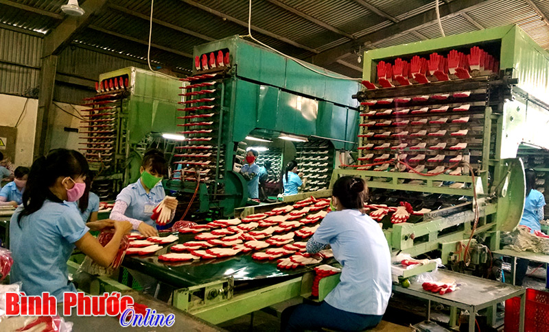 Xã hội hóa vì thế hệ mầm non (Bài cuối)