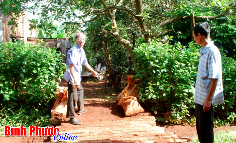 Nước từ lô cao su chảy ngập nhà dân