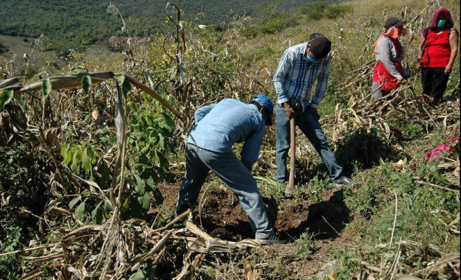 Đã tìm thấy thi thể 43 sinh viên mất tích?