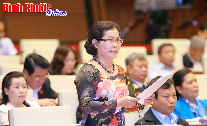 Đại biểu Phạm Thị Mỹ Lệ: Cấp giấy chứng nhận đăng k&yacute; đầu tư đối với nh&agrave; đầu tư trong nước l&agrave; kh&ocirc;ng cần thiết