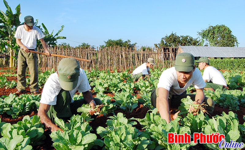 Ph&aacute;t triển đảng vi&ecirc;n trong Đảng bộ Qu&acirc;n sự tỉnh