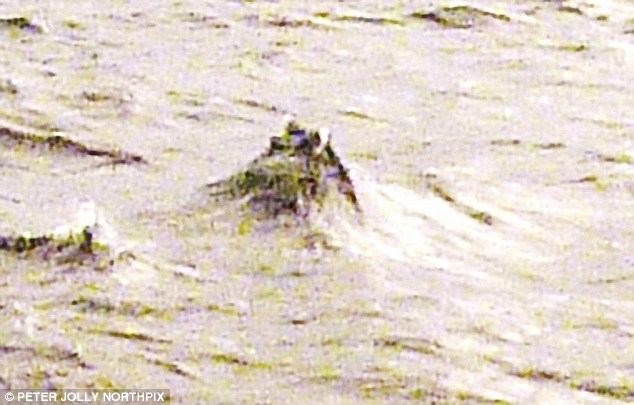 Thực hư bức ảnh đầu quái vật hồ Loch Ness nhô lên khỏi mặt nước