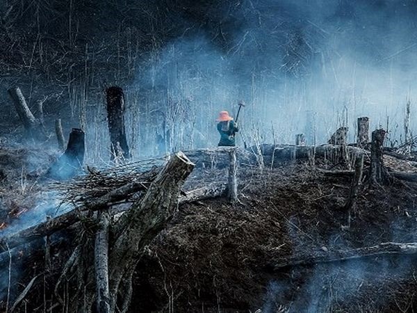 ''Sự tàn phá của con người'' đoạt Giải thưởng tài năng 2014