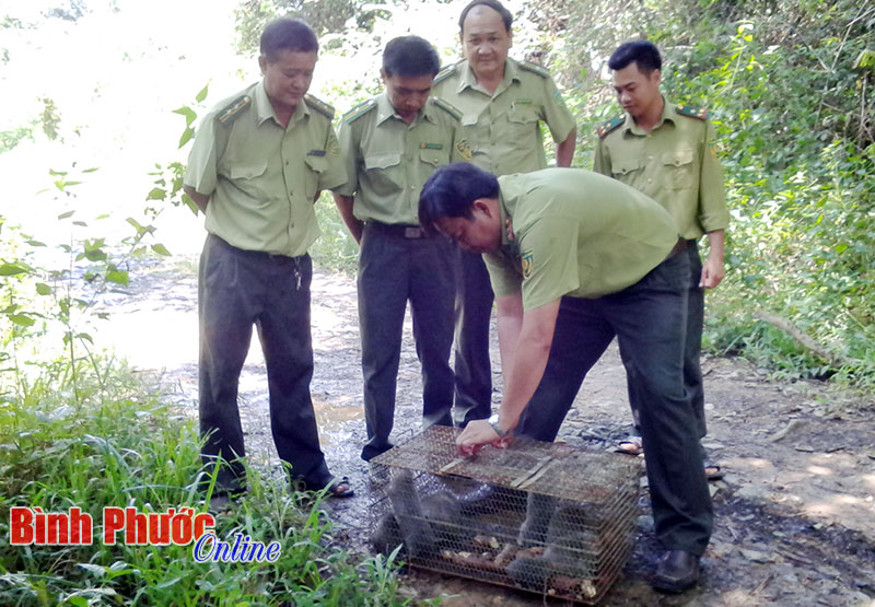 B&ugrave; Đăng: Thả 14 động vật hoang d&atilde; về rừng