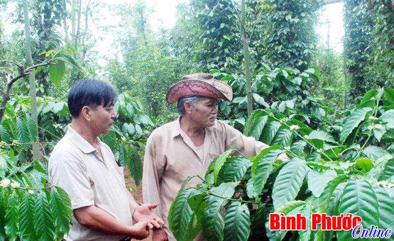 Thu tiền tỷ mỗi năm từ 2 ha đất