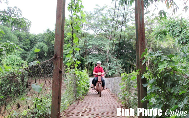 Đa số cầu dân sinh không đảm bảo yêu cầu kỹ thuật