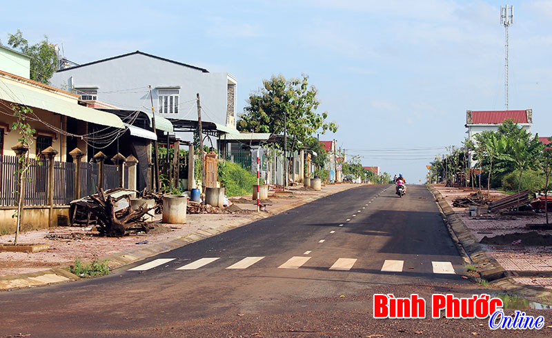 Trộm cắp ho&agrave;nh h&agrave;nh ở khu phố Ph&uacute; Xu&acirc;n