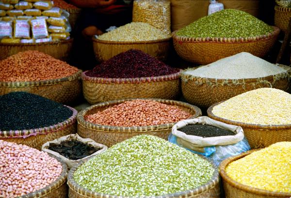 Cảnh gi&aacute;c với nạn trộm cắp n&ocirc;ng sản