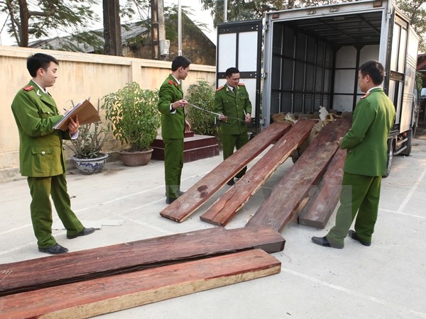 Y&ecirc;u cầu xử l&yacute; nghi&ecirc;m kẻ chở gỗ lậu đ&acirc;m chết c&aacute;n bộ kiểm l&acirc;m