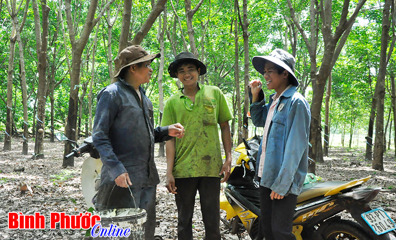 Tỷ phú Điểu Nông