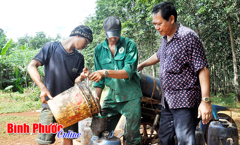 Vai trò của kinh tế tập thể trong xây dựng nông thôn mới