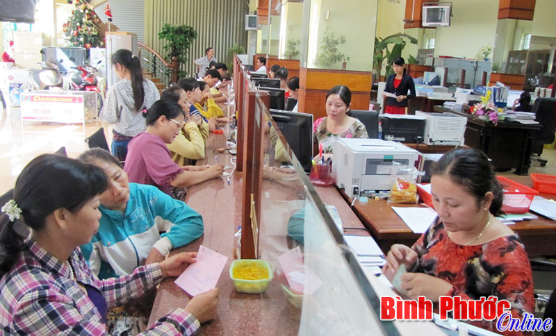 Vay vốn phát triển nông nghiệp, nông thôn: Ngân hàng và người đi vay đều khó