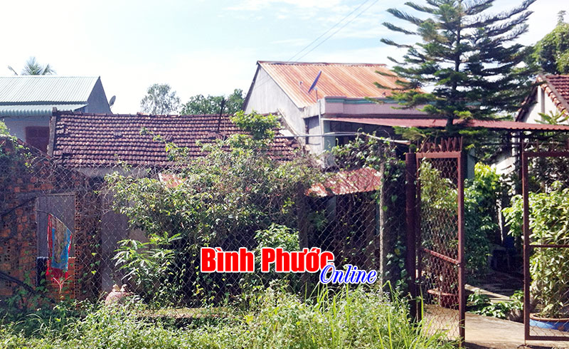 V&igrave; sao c&aacute;n bộ địa ch&iacute;nh x&atilde; Ph&uacute; Riềng bị bắt?