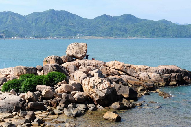 Cứu sống du khách Nga bị thương nặng do cá biển tấn công