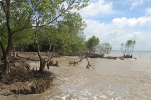 Khởi động dự án ứng phó biến đổi khí hậu 27 triệu USD