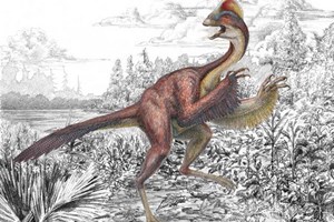 Phát hiện loài khủng long có lông vũ mới ở Bắc Mỹ