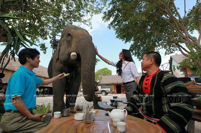 Thú vị cưỡi voi khám phá hồ Lắk hoang sơ giữa Tây Nguyên