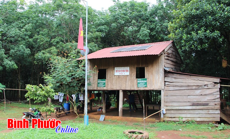 27 tỷ đồng ph&iacute; dịch vụ m&ocirc;i trường rừng chưa chi trả