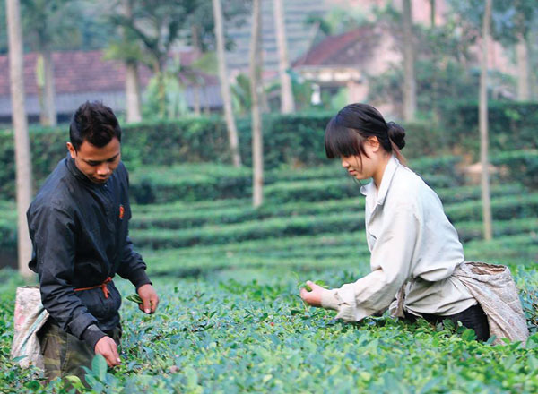 Hạnh phúc nhọc nhằn