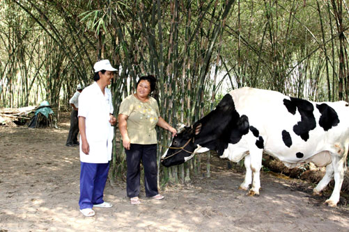 Tháng 1: Vinamilk thu mua sữa bò tươi nguyên liệu của nông dân tăng gần 22%