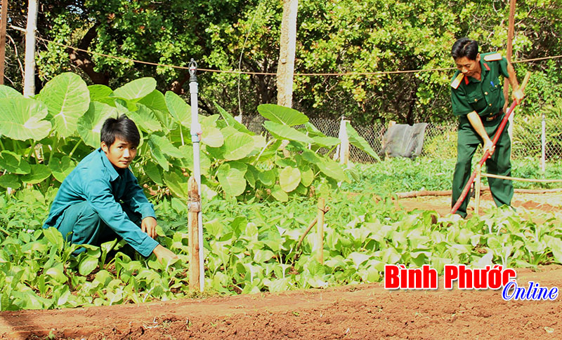 Ban chỉ huy Qu&acirc;n sự thị x&atilde; Phước Long - Xứng danh đơn vị quyết thắng  