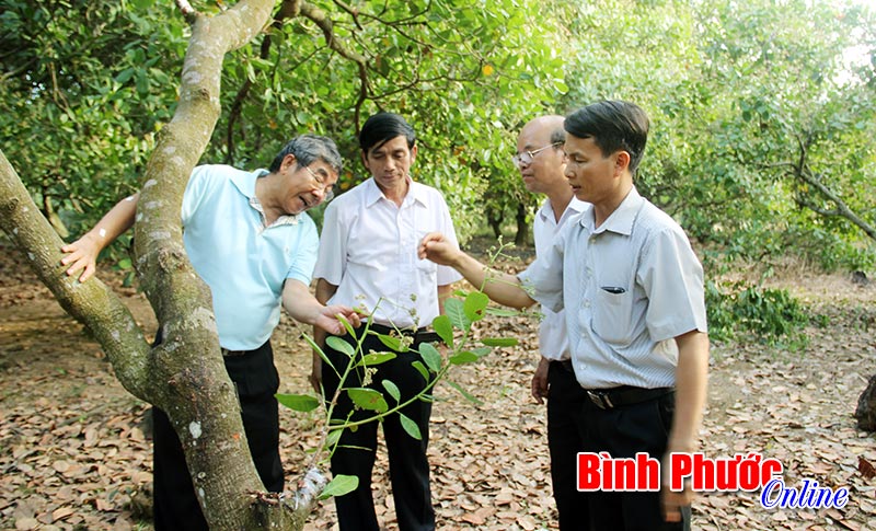 Hội nông dân xã Tiến Hưng - đơn vị vững mạnh nhiều năm liền