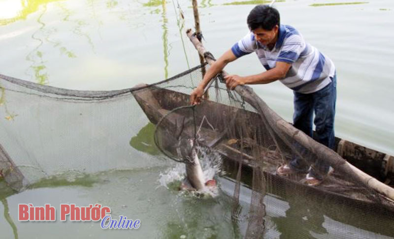 Nhiều hoạt động đẩy mạnh phát triển nguồn lợi thủy sản