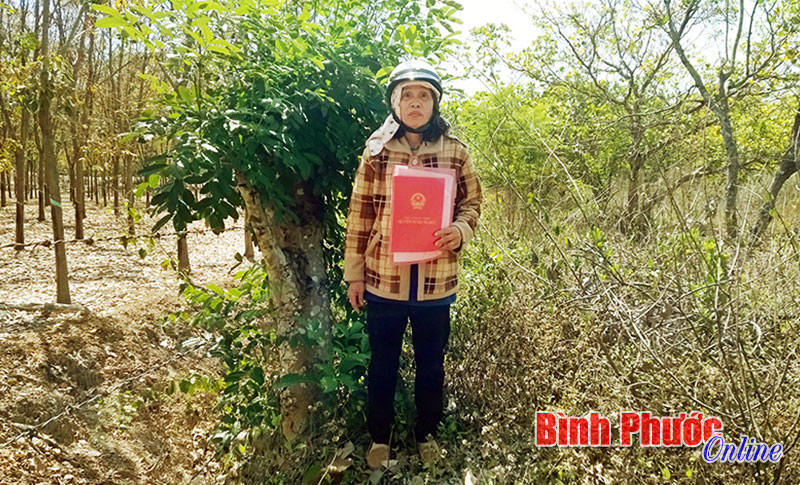 Những bất thường trong một vụ tranh chấp