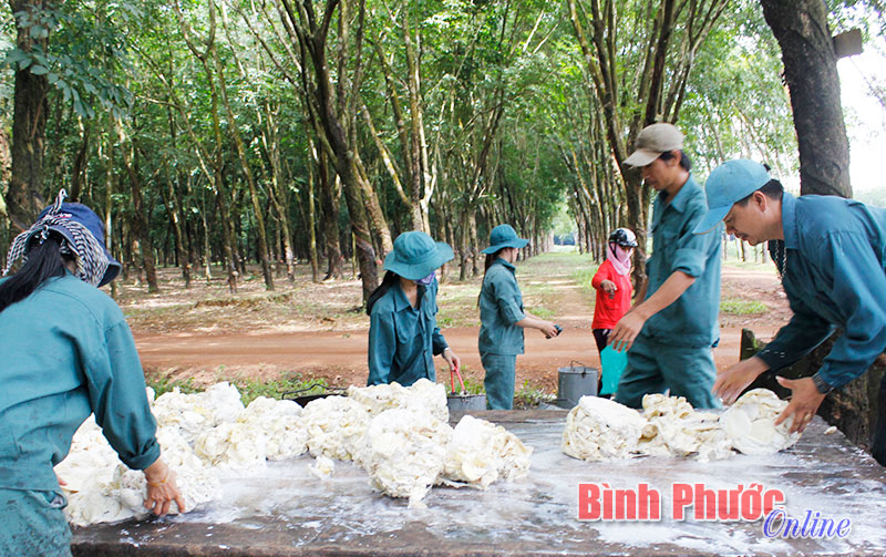 Sẽ tính BHXH theo mức lương thực tế