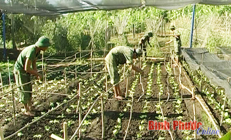 Ban chỉ huy qu&acirc;n sự huyện Lộc Ninh - xứng danh đơn vị quyết thắng