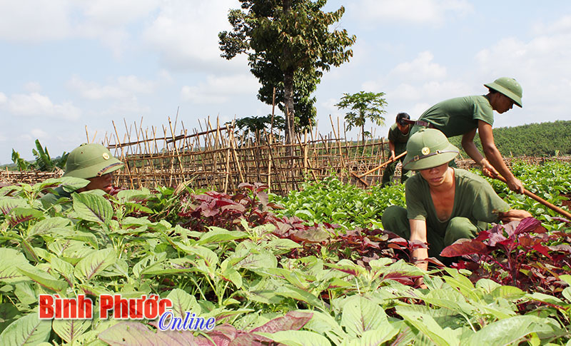 Tiểu đo&agrave;n 208 sẵn s&agrave;ng m&ugrave;a huấn luyện chiến sĩ mới