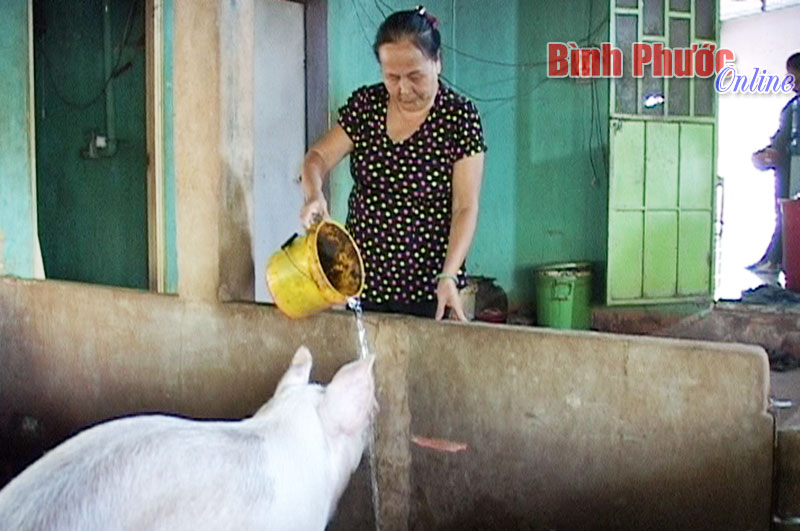 Mô hình giúp phụ nữ thoát nghèo hiệu quả