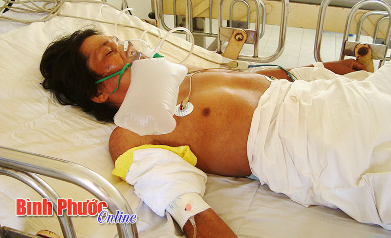 Cảnh giác ăn nhộng, ấu trùng