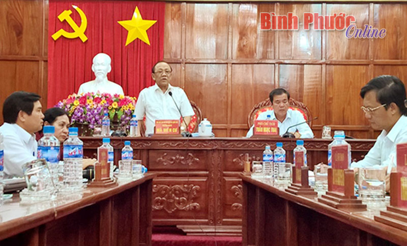 Cần làm rõ đối tượng lấn chiếm đất lâm nghiệp