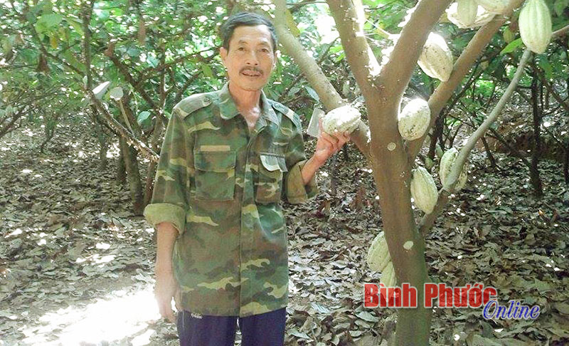 Ông Nguyễn Văn Bớt: Triệu phú trồng xen