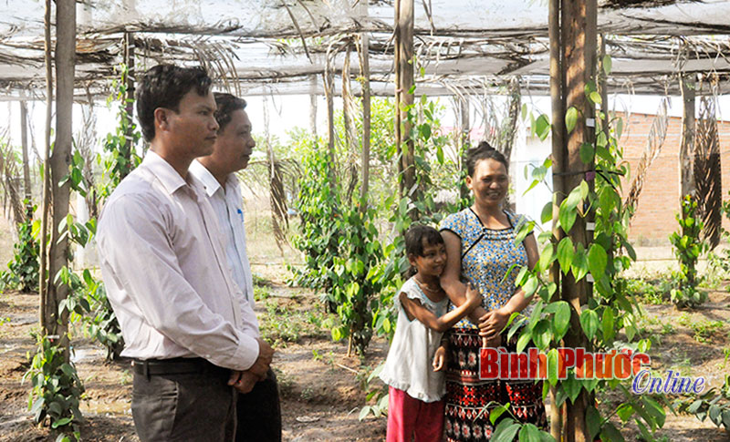 Gắn phát triển kinh tế với tăng cường quốc phòng - an ninh