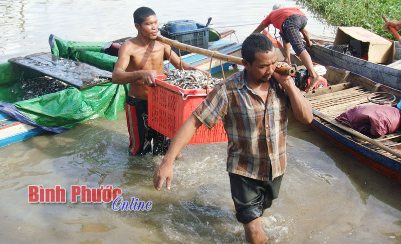 Quyết định số 2912/2014/QĐ-UBND của UBND tỉnh: Cơ hội lớn cho người chăn nuôi cá