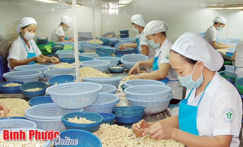 Bình Phước tuổi 19