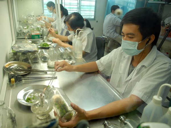 Trả lương 150 triệu đồng một tháng cho chuyên gia khoa học công nghệ