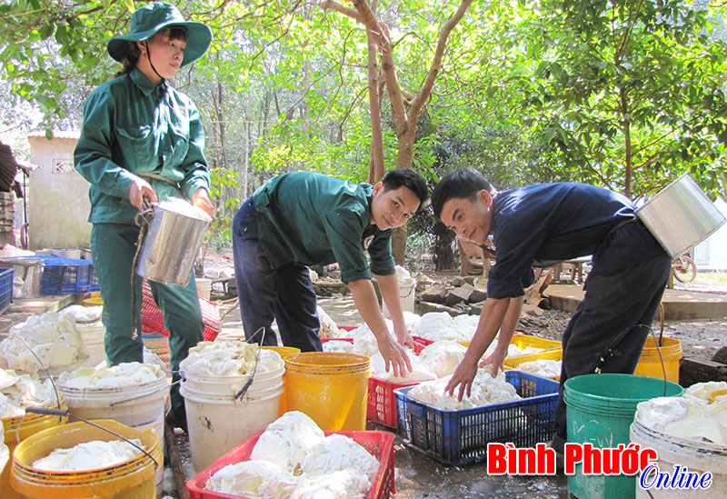 Công ty Cao su Phú Riềng: thu nhập bình quân cao nhất tập đoàn