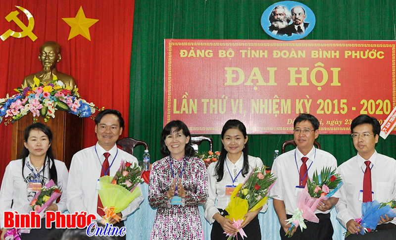 Đại hội Đảng bộ Tỉnh đo&agrave;n lần thứ VI, nhiệm kỳ 2015-2020