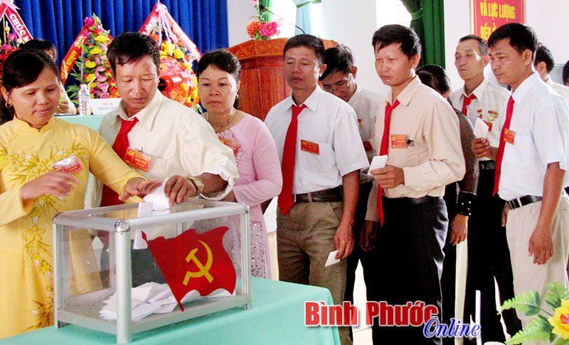 5 đảng bộ cơ sở được chọn đại hội th&iacute; điểm trực tiếp bầu ban thường vụ, b&iacute; thư, ph&oacute; b&iacute; thư