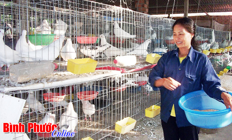 Diện tích nhỏ - hiệu quả lớn