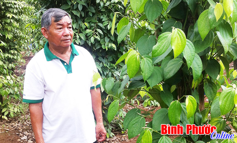 Gương s&aacute;ng một cựu chiến binh