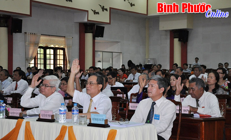 B&igrave;nh Phước: 100% x&atilde;, phường, thị trấn th&agrave;nh lập Ban của HĐND
