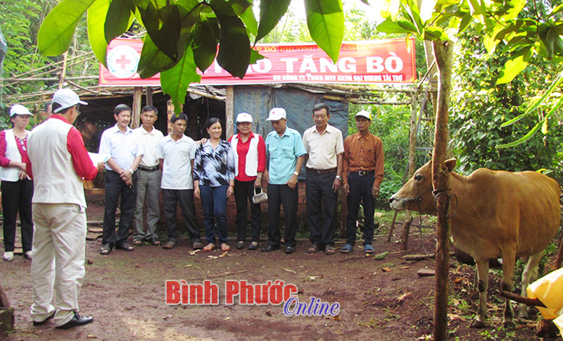 Hội chữ thập đỏ thị xã Bình Long: Vận động trên 330 triệu đồng giúp nhau phát triển kinh tế