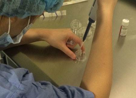 Hôm nay (15-3), chính thức cho phép mang thai hộ