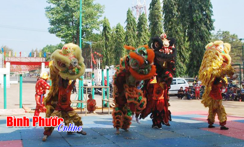 Rộn ràng lễ hội mừng Đảng - mừng Xuân