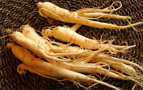 Muốn bán nhân sâm phải ghi rõ định lượng