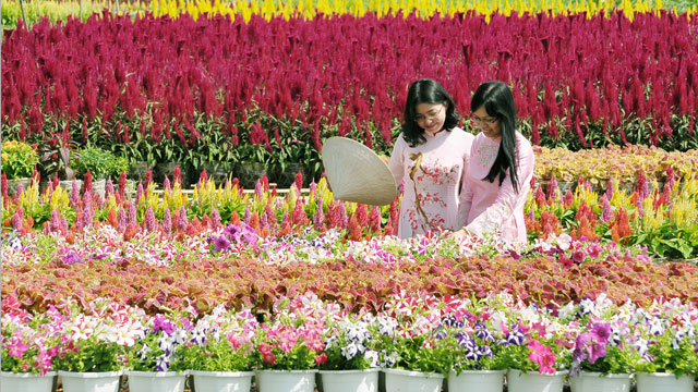 Phụ nữ ơi, em là ai?